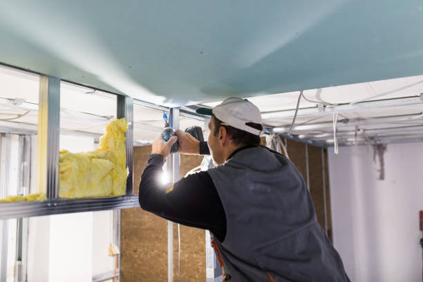 Best Spray Foam Insulation  in Little Walnut Village, NM