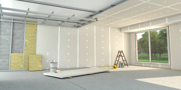 Best Insulation Removal  in Little Walnut Village, NM